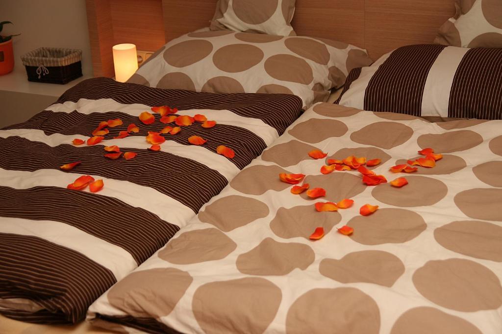 Penzion A Relax Centrum Andelka Hanušovice Kamer foto